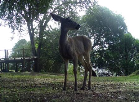 Doe 04
